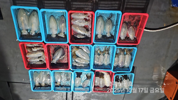신신낚시 강구점 신신호_사진_20251018_10.jpg