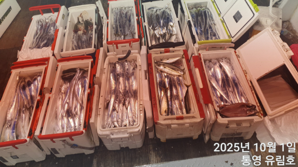 169201fa16f11aee153d2bc93ac7583f.jpg