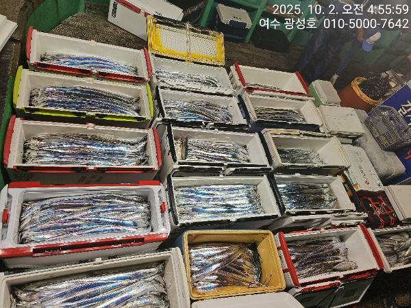 KakaoTalk_20251002_144303273_08.jpg