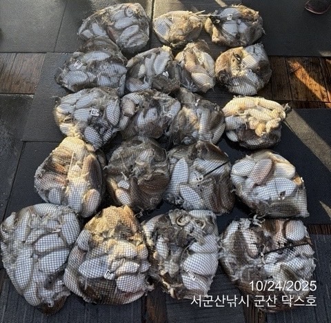 군산 선상낚시, 바다낚시 출조 전문 ☆서군산낚시☆_사진_20251024_2.jpg