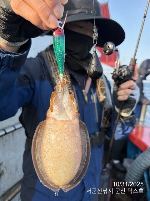군산 선상낚시, 바다낚시 출조 전문 ☆서군산낚시☆_사진_20251031_19.jpg