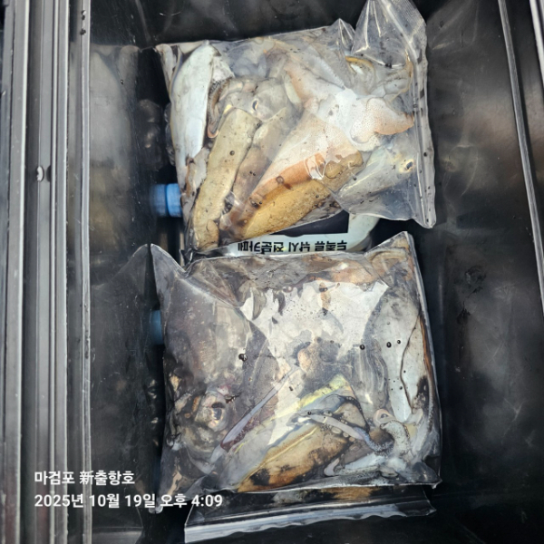 ꫛꫀꪝ✧‧˚ 태안 마검포 新출항호 .• _˚☀₊_사진_20251019_13.jpg