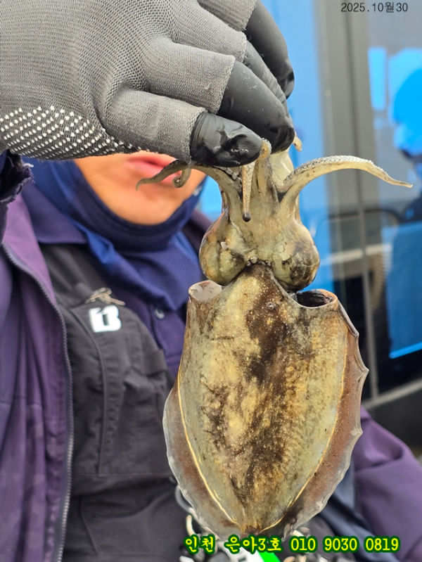 10월30 3호 (3).jpg