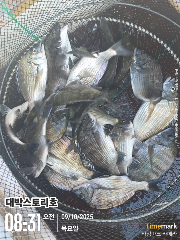 2025-10-09 08.31.43__(대박스토리호).jpg