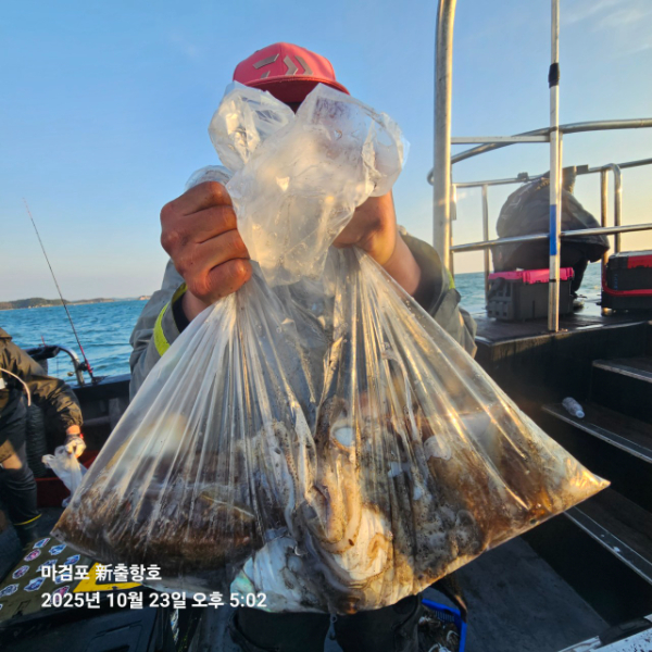 ꫛꫀꪝ✧‧˚ 태안 마검포 新출항호 .• _˚☀₊_사진_20251023_5.jpg