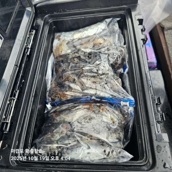 ꫛꫀꪝ✧‧˚ 태안 마검포 新출항호 .• _˚☀₊_사진_20251019_8.jpg