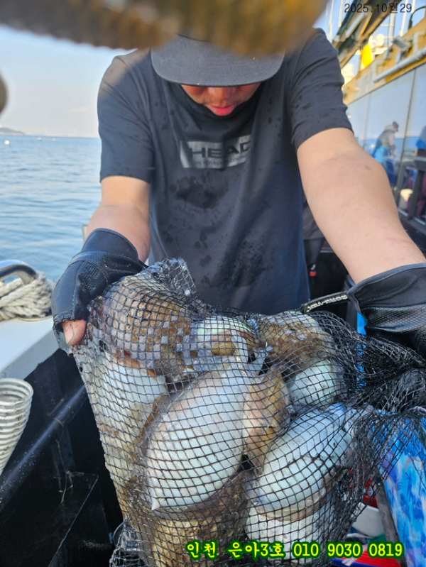 10월29 3호 (3).jpg