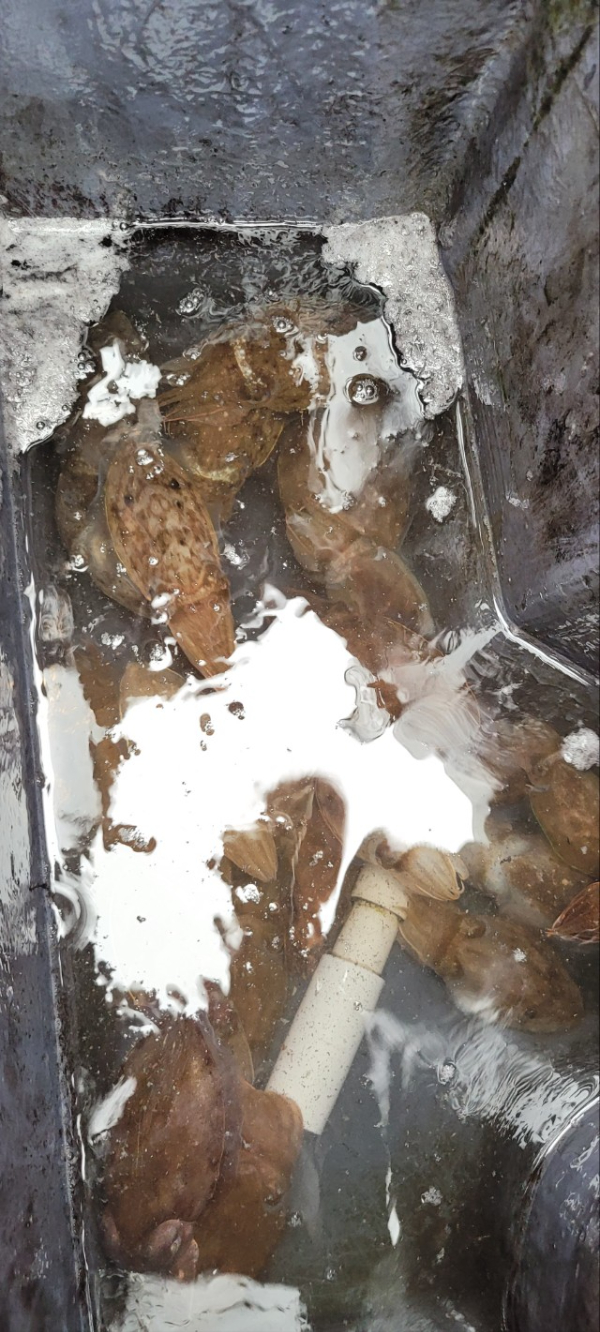 예지퀸호 농어외수질&어초낚시 경기인천권_사진_20251004_17.jpg