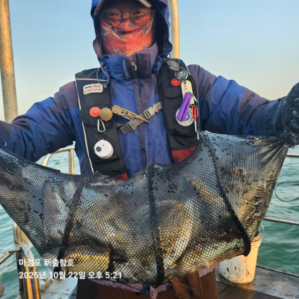 ꫛꫀꪝ✧‧˚ 태안 마검포 新출항호 .• _˚☀₊_사진_20251022_3.jpg