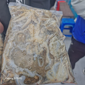 인천쭈꾸미낚시 (10).jpg