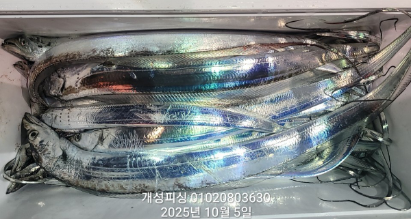 1c893ec9519bf066fa7deeab87e07fa9.jpg