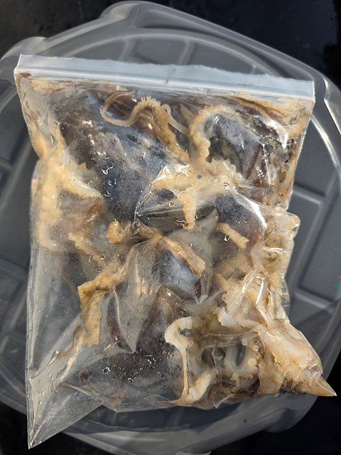 인천쭈꾸미낚시 (7).jpg