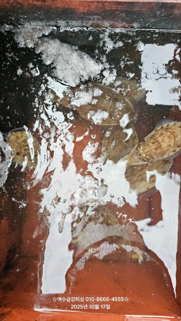 여수금강피싱_사진_20251017_12.jpg