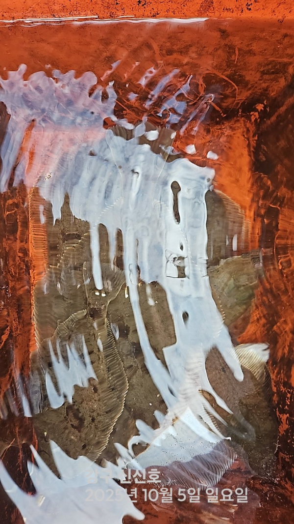 신신낚시 강구점 신신호_사진_20251005_20.jpg