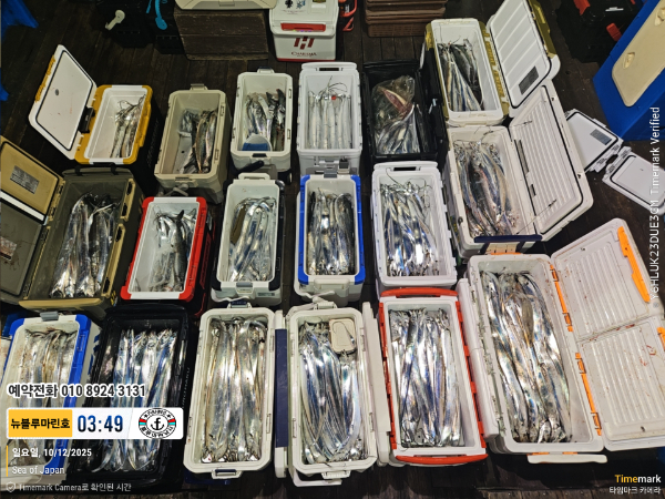 2025-10-12 03.49.57_Japan_(제목-뉴블루마린호)_(예약전화 010 8924 3131).jpg