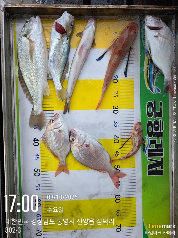 궁항레저_사진_20251008_4.jpg