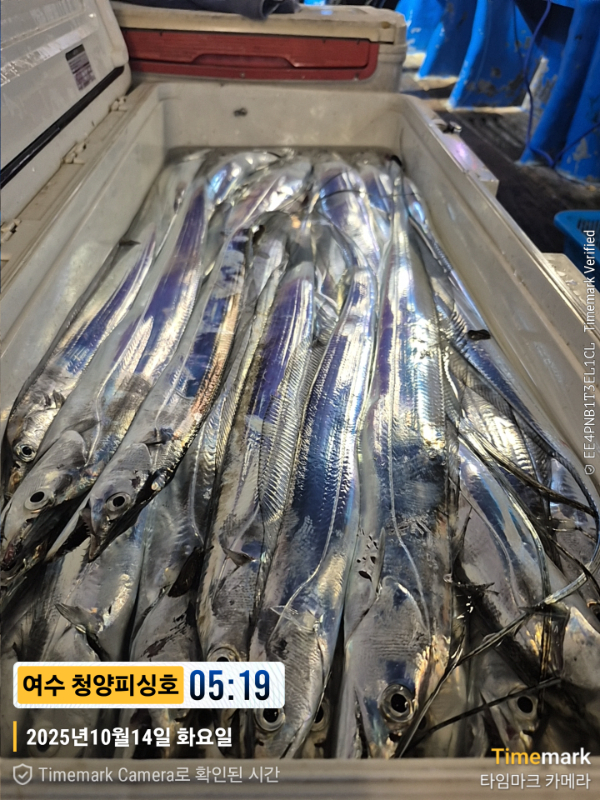 2025-10-14 05.19.24__(제목-여수 청양피싱호).jpg