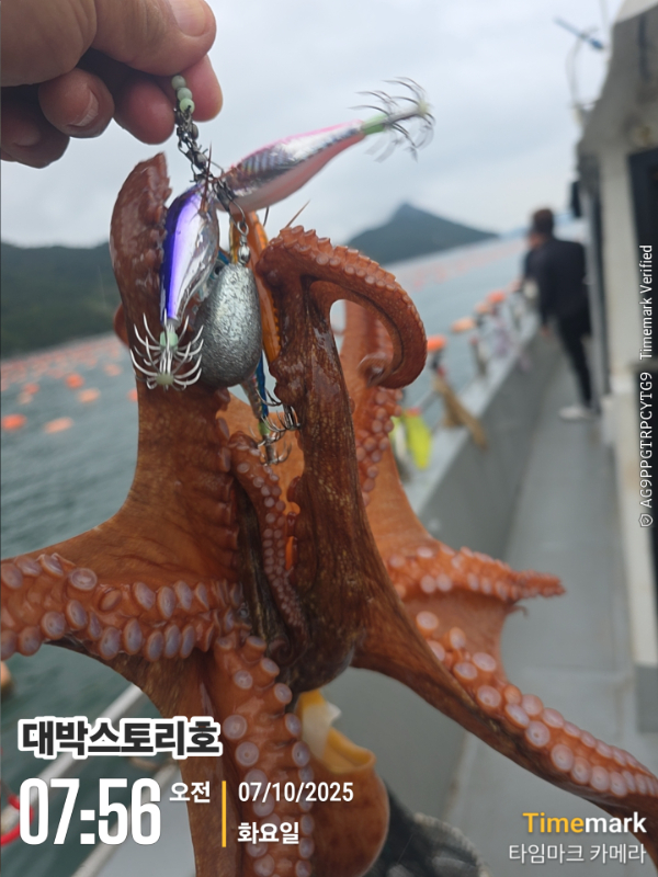 2025-10-07 07.56.40__(대박스토리호).jpg