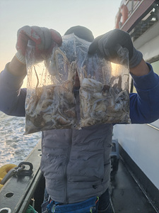 인천쭈꾸미낚시 (12).jpg