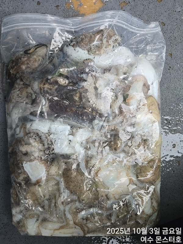 BandPhoto_2025_10_03_17_34_52 (1).jpg