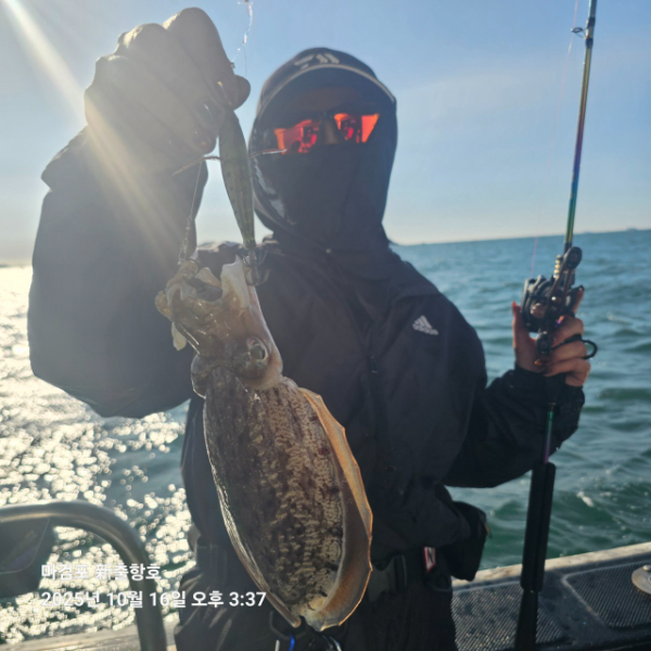 ꫛꫀꪝ✧‧˚ 태안 마검포 新출항호 .• _˚☀₊_사진_20251016_2.jpg