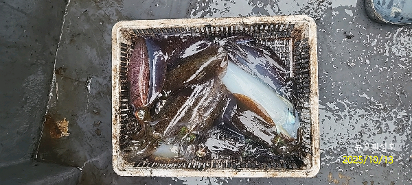 DateCamera1013093319.jpg