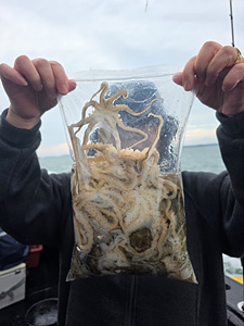 인천쭈꾸미낚시 (7).jpg