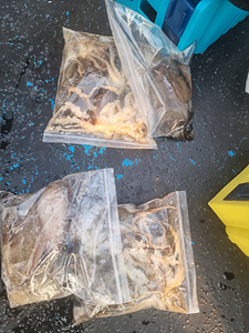 인천쭈꾸미낚시 (2).jpg