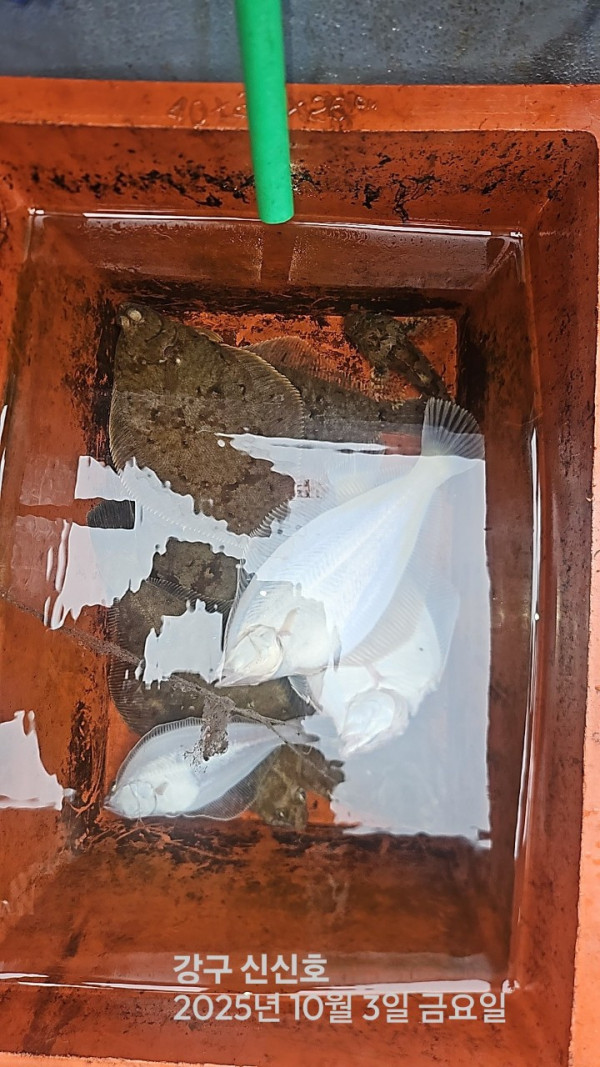 신신낚시 강구점 신신호_사진_20251003_9.jpg