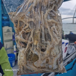 인천쭈꾸미낚시 (13).jpg