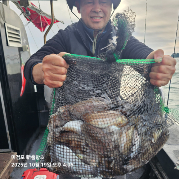 ꫛꫀꪝ✧‧˚ 태안 마검포 新출항호 .• _˚☀₊_사진_20251019_5.jpg