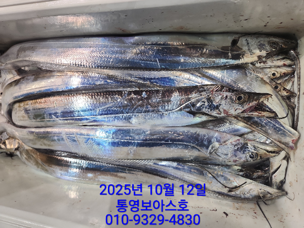 1ff508de906055f7a7b11a79af778756.jpg