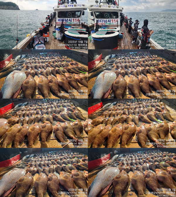 20ac890270deadbf8a6b261912fa6646.jpg
