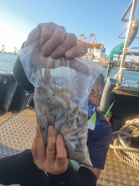 인천쭈꾸미낚시 (6).jpg