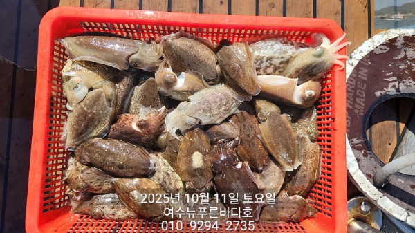 20ea37c9a7edf179765c89e0f0c6feaf.jpg