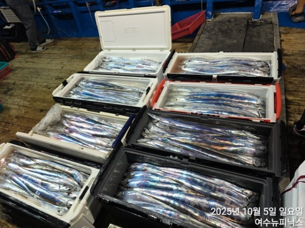 10월5일갈치 (50).jpg