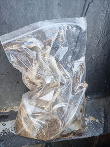 인천쭈꾸미낚시 (18).jpg