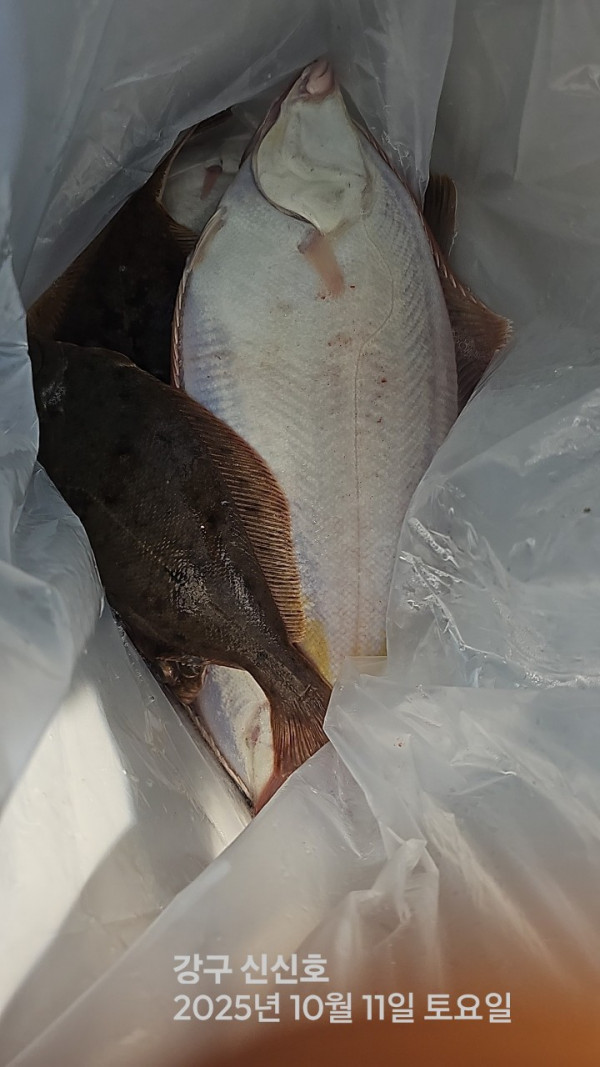 신신낚시 강구점 신신호_사진_20251012_12.jpg