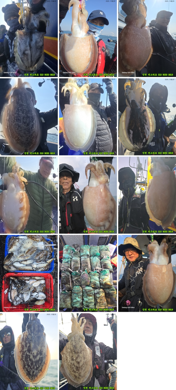 10월29 썬 (1)-tile.jpg