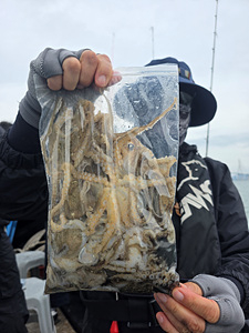 인천쭈꾸미낚시 (2).jpg