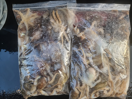 인천쭈꾸미낚시 (17).jpg