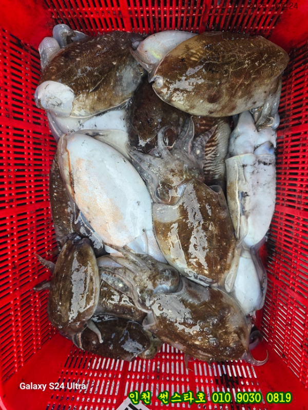 10월24 썬 (18).jpg