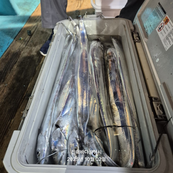 바다꾼낚시(신아라호)_사진_20251002_6.jpg