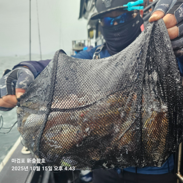 ꫛꫀꪝ✧‧˚ 태안 마검포 新출항호 .• _˚☀₊_사진_20251015_4.jpg