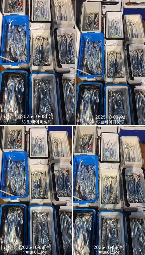 23cc9507417c95e358fb50f1bf57bd78.jpg