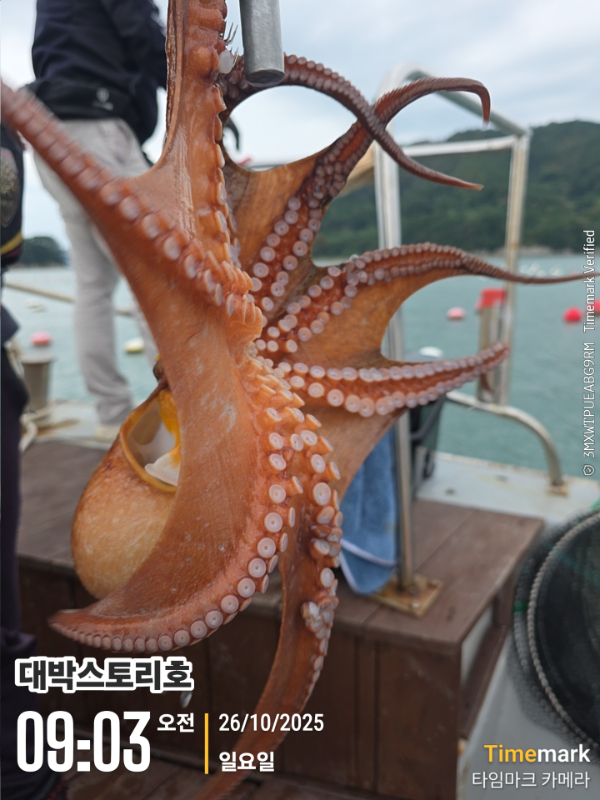 2025-10-26 09.03.41__(대박스토리호).jpg