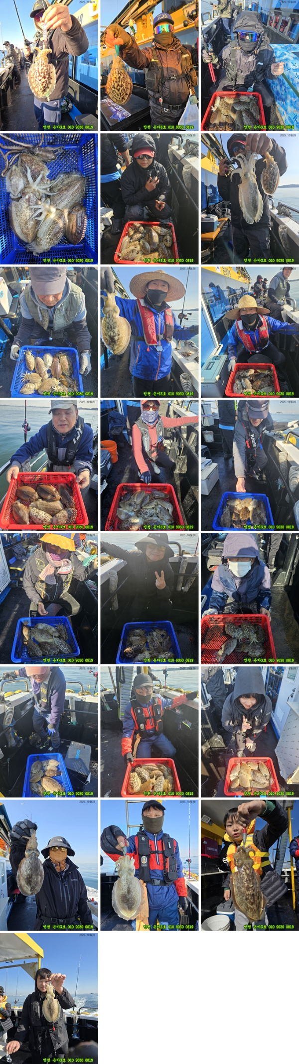 10월28 3호 (1)-tile.jpg