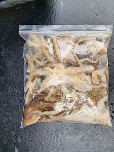 인천쭈꾸미낚시 (8).jpg