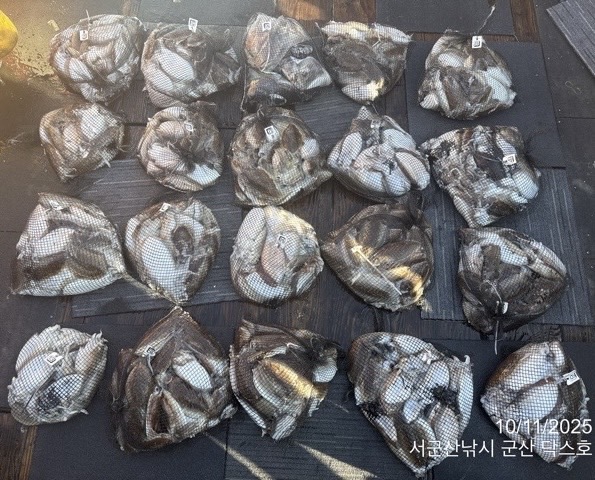 군산 선상낚시, 바다낚시 출조 전문 ☆서군산낚시☆_사진_20251011_2.jpg