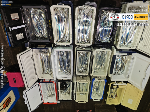 2025-10-05 03.43.58_대한민국_(제목-뉴블루마린호)_(예약전화 010 8924 3131).jpg